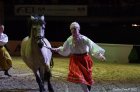 Horse Show 07.10.2012